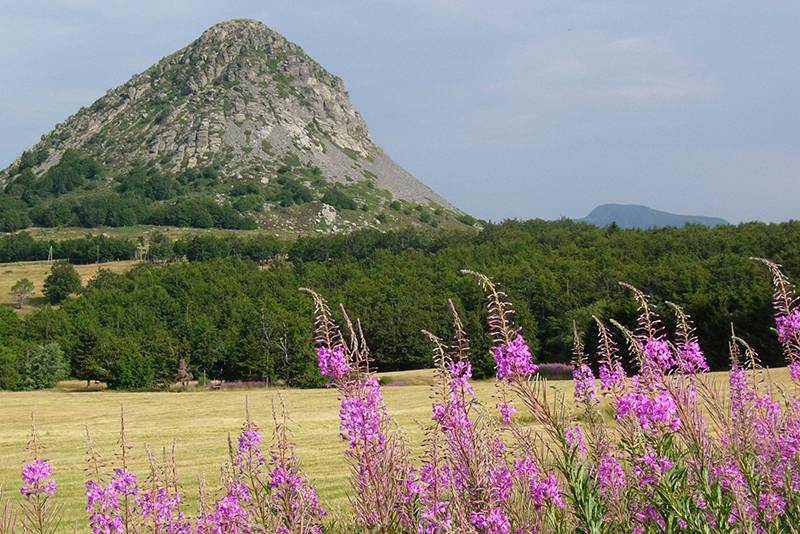 Mont Gerbier de Jonc Mont Gerbier de Jonc